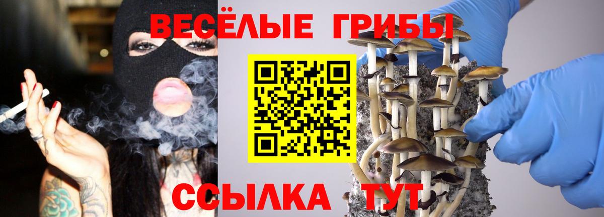 Псилоцибиновые грибы ЛСД  Галлюциногенные грибы ЛСД  купить закладку  Ульяновск  Вход с VPN 